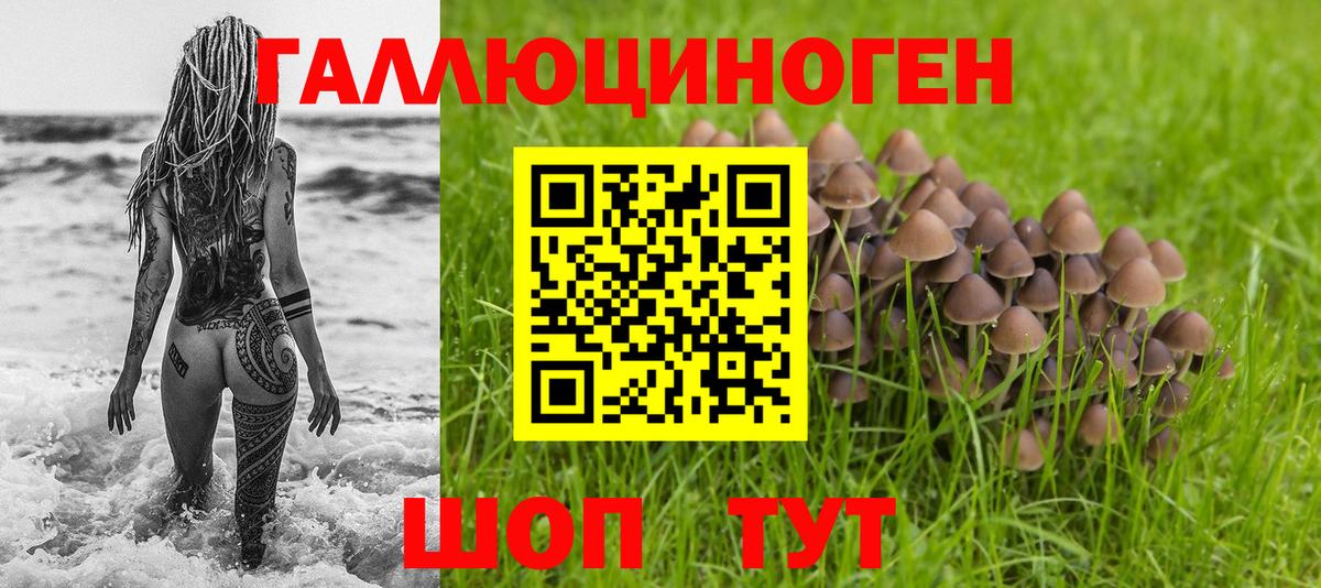 Галлюциногенные грибы ЛСД Верхний Уфалей